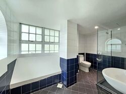 Dunearn Road (D11), Condominium #522093111